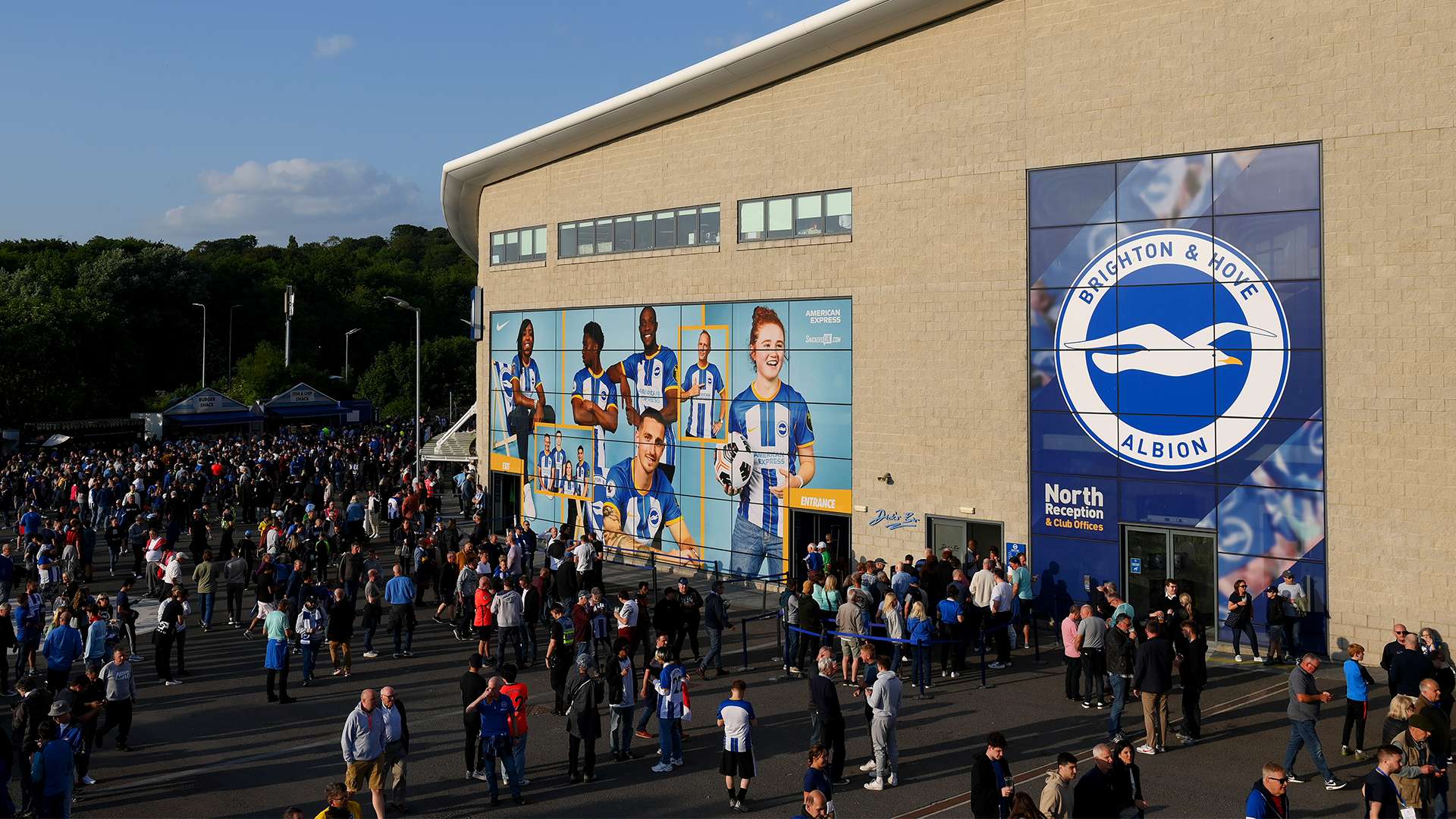 场引关注 场引关注