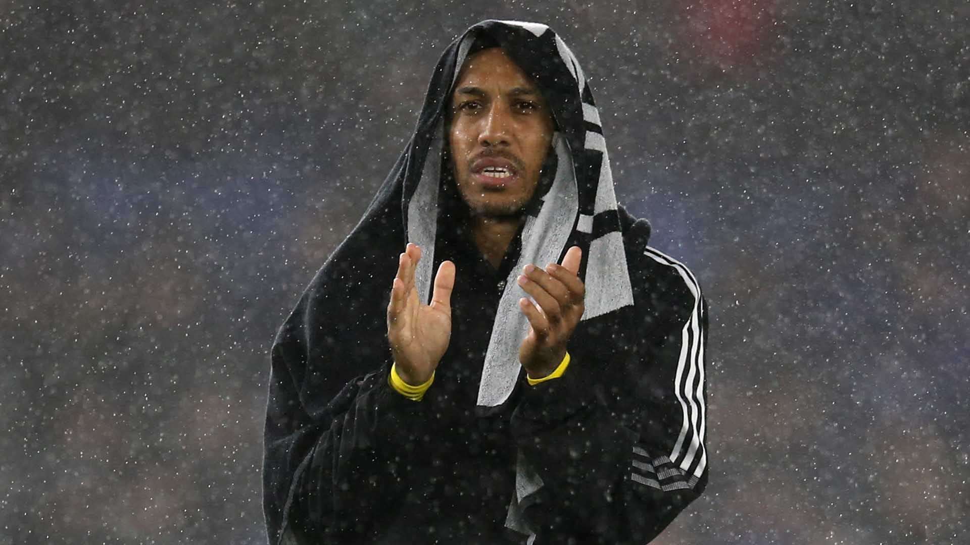 主力中卫米 主力中卫米